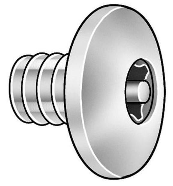 Binding Screw, 1/2 In L