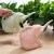 Garden Elephant Shaped Watering can-Green