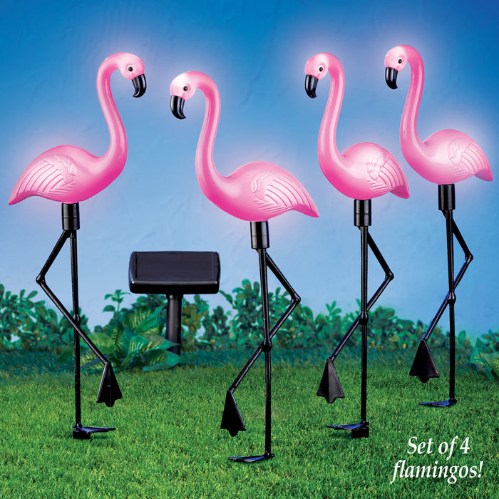 Tropical Pink Flamingos Solar Yard Garden Stakes Outdoor Decoration, Set of 4